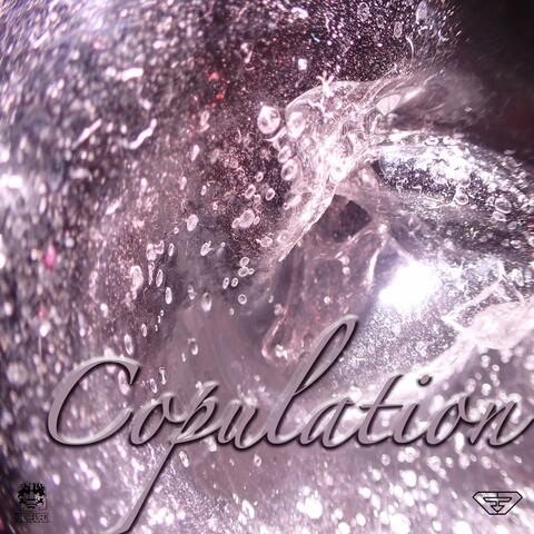 Copulation (Holy Water)