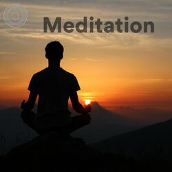 Chaturanga Dandasana