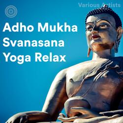 Chaturanga Dandasana