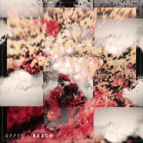 Reach