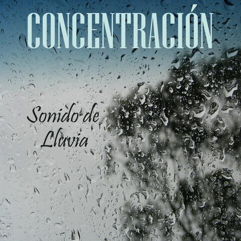 Concentración: Sonido de Lluvia