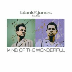 Mind of the Wonderful