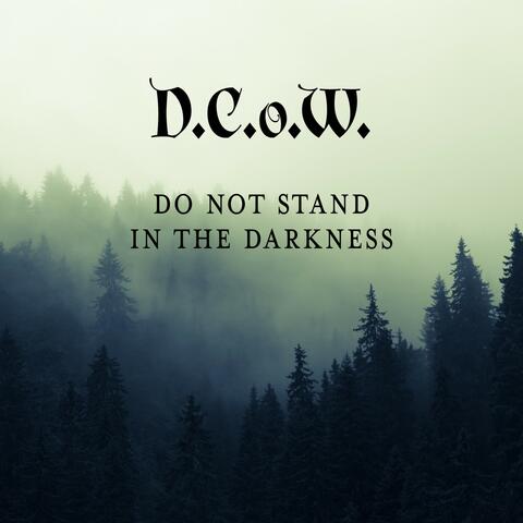 Do Not Stand in the Darkness