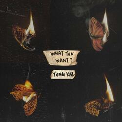 What You Want?
