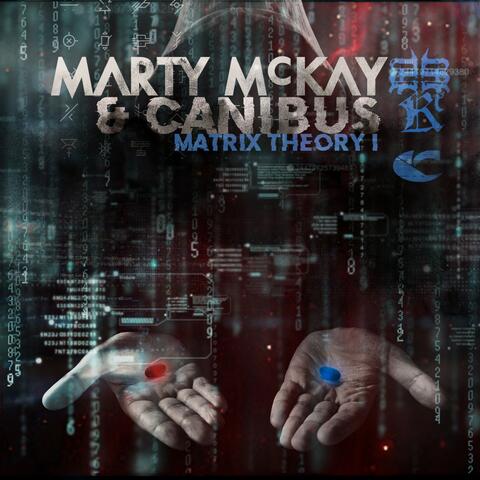 Matrix Theory I