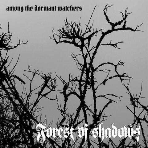 Among the Dormant Watchers