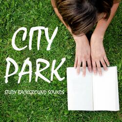 Background Noise for Studying: City Park Sounds, Pt. 44