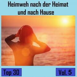 Witte Mööv - De letzte Mööv flügt över t Watt