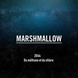 2044 du méthane et du chlore