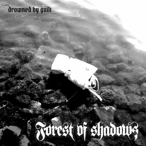 Forest of Shadows