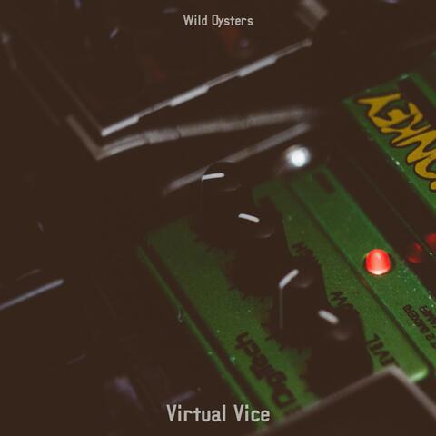 Virtual Vice