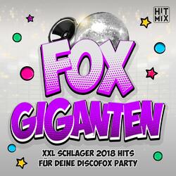 Irgendwann Irgendwo Irgendwie