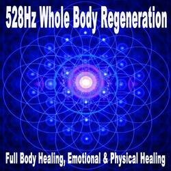 Miracle Healing Frequency