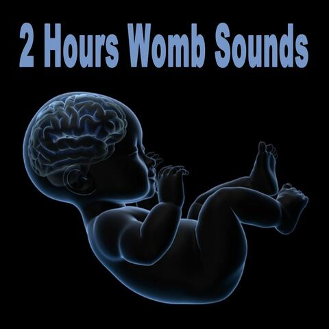 2 Hours Womb Sounds (Gets Baby to Sleep Fast! Calms Crying Babies & Colic)