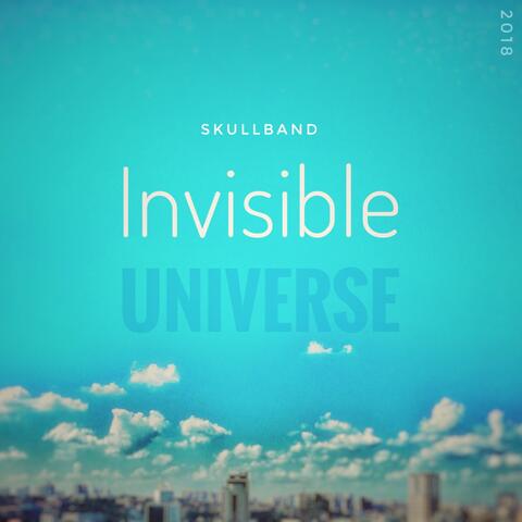 Invisible Universe