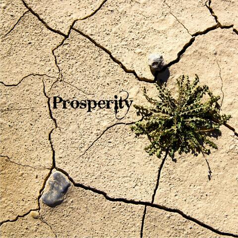 Prosperity