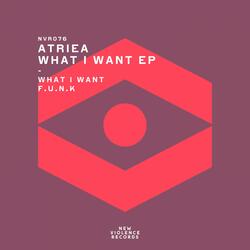 What I Want