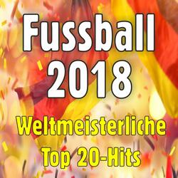 Ohne Holland fahr'n wir zu WM
