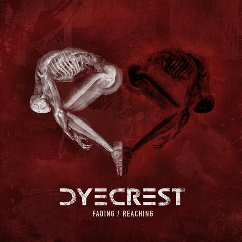 Fading / Reaching
