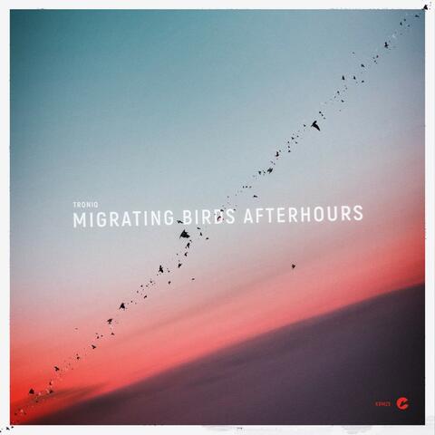 Migrating Birds Afterhours