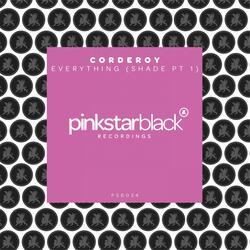 Everything (Shade Pt. 1)