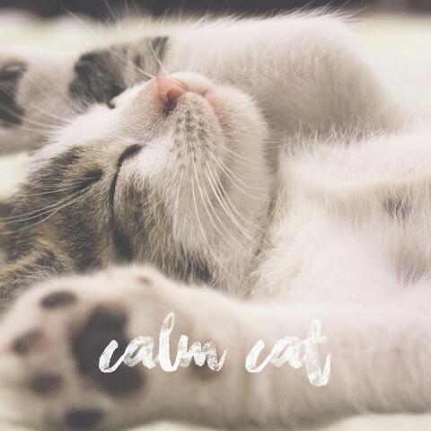 Pink Noise to Calm Your Cat, Alleviate Stress, & Help Anxiety in Pets