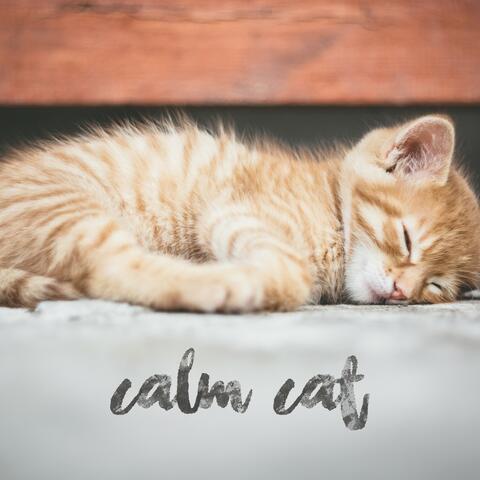 White Noise to Calm Your Cat, Alleviate Stress, & Help Anxiety in Pets