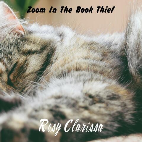 Zoom in the Book Thief