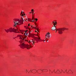 Wo der Pfeffer wächst