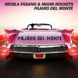 Pajaro del Monte