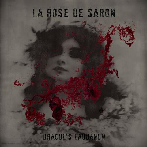 Dracul's laudanum