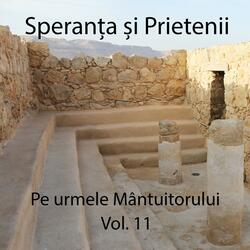 O, ce valuri de-ndurare