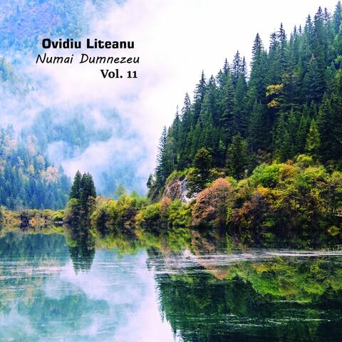 Numai Dumnezeu, Vol. 11