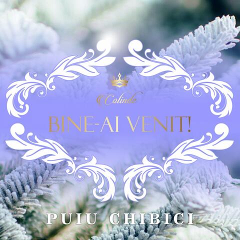 Bine-ai venit