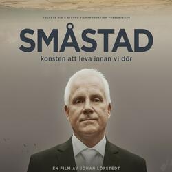 Björn på taket