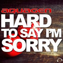 Hard to Say I'm Sorry