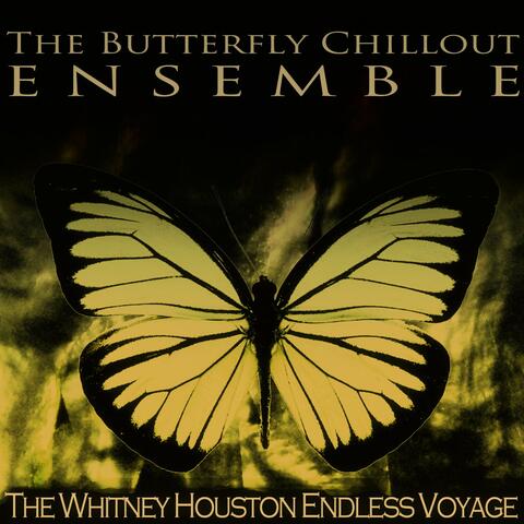 The Whitney Houston Endless Voyage