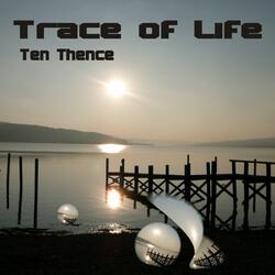Trace of Life