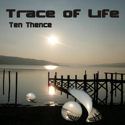 Trace of Life