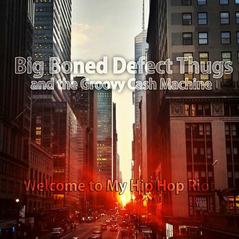Welcome to My Hip Hop Riot
