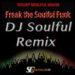 Freak the Soulful Funk