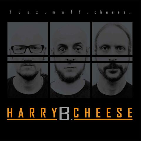 Fuzz. Muff. Cheese.