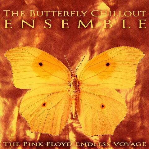 The Pink Floyd Endless Voyage