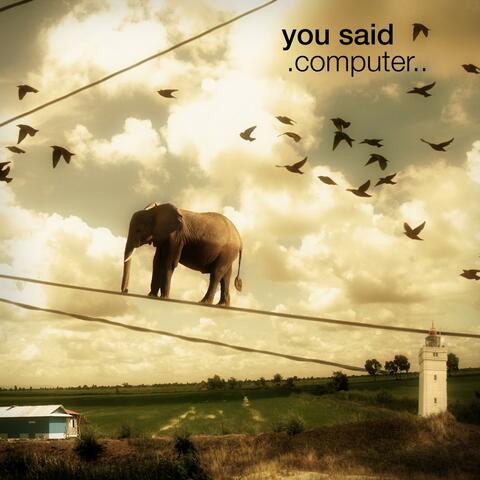 You Said