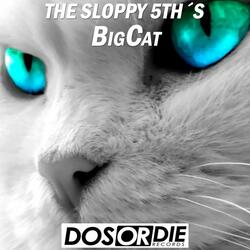 Big Cat