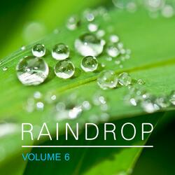 Sport Brings People Together