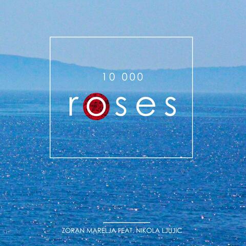 10 000 Roses