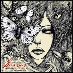 David Glass, the Willers Brothers - Curious