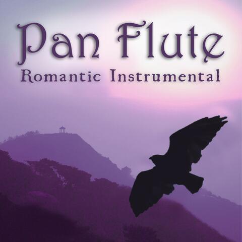 Romantic Instrumental Hits