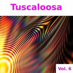 Stadium Construction